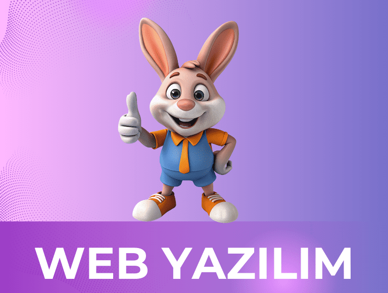 web-yazilim-cy-dijital
